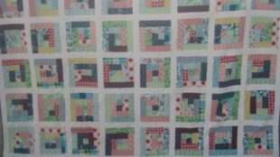 DS Picnics and Fairgrounds Log Cabin Quilt